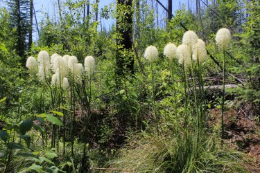 IMG_4771.jpg IMG_4771.jpg