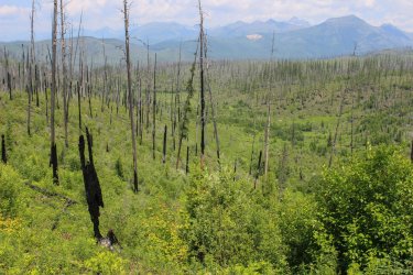 IMG_4777.jpg IMG_4777.jpg