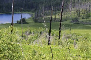 IMG_4787.jpg IMG_4787.jpg