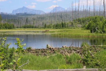 IMG_4802.jpg IMG_4802.jpg