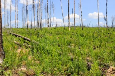 IMG_4814.jpg IMG_4814.jpg