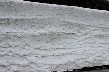 IMG_4842.jpg IMG_4842.jpg