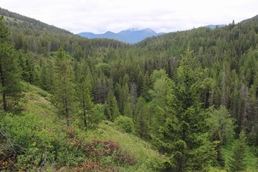 IMG_4861.jpg IMG_4861.jpg