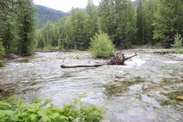 IMG_4872.jpg IMG_4872.jpg