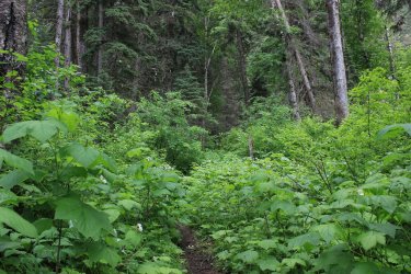 IMG_4896.jpg IMG_4896.jpg