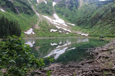 IMG_4911.jpg IMG_4911.jpg