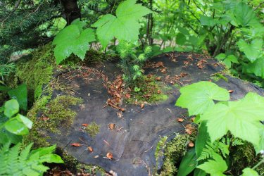 IMG_4932.jpg IMG_4932.jpg