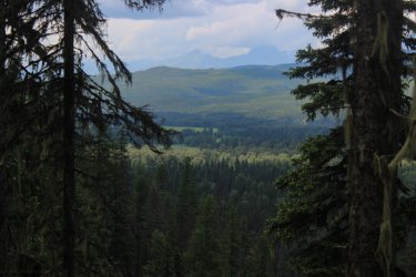 IMG_4939.jpg IMG_4939.jpg