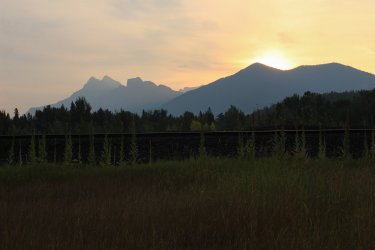 IMG_5074.jpg IMG_5074.jpg