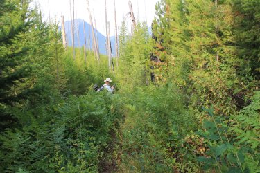 IMG_5099.jpg IMG_5099.jpg