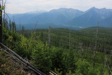 IMG_5107.jpg IMG_5107.jpg