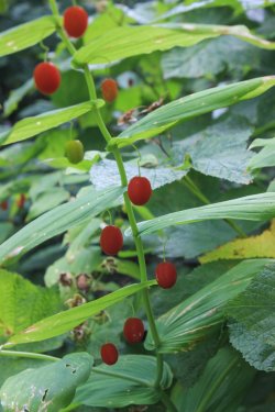 IMG_5114.jpg IMG_5114.jpg