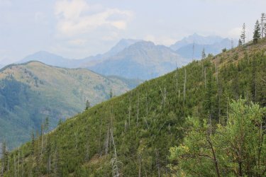 IMG_5123.jpg IMG_5123.jpg