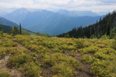 IMG_5131.jpg IMG_5131.jpg