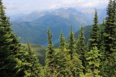 IMG_5139.jpg IMG_5139.jpg