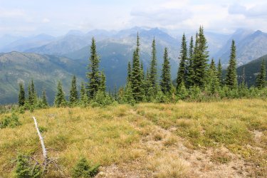 IMG_5141.jpg IMG_5141.jpg