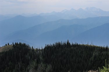 IMG_5156.jpg IMG_5156.jpg