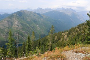 IMG_5168.jpg IMG_5168.jpg