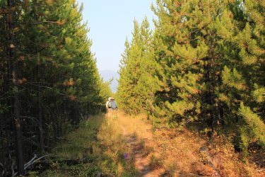 IMG_5198.jpg IMG_5198.jpg