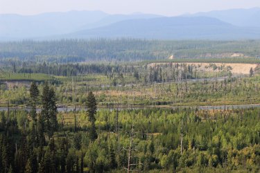 IMG_5203.jpg IMG_5203.jpg