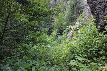 IMG_5208.jpg IMG_5208.jpg