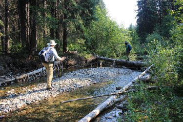 IMG_5210.jpg IMG_5210.jpg