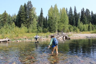 IMG_5233.jpg IMG_5233.jpg