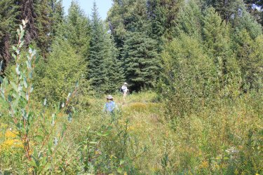 IMG_5237.jpg IMG_5237.jpg