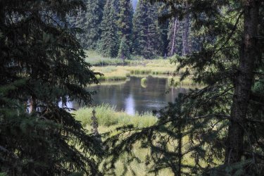 IMG_5244.jpg IMG_5244.jpg