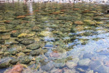 IMG_5273.jpg IMG_5273.jpg