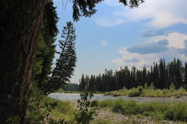 IMG_5277.jpg IMG_5277.jpg