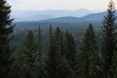 IMG_5283.jpg IMG_5283.jpg