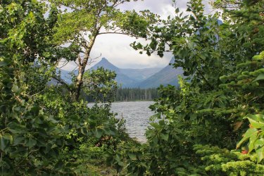 IMG_5324.jpg IMG_5324.jpg