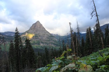 IMG_5372.jpg IMG_5372.jpg