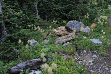 IMG_5403.jpg IMG_5403.jpg