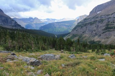 IMG_5405.jpg IMG_5405.jpg