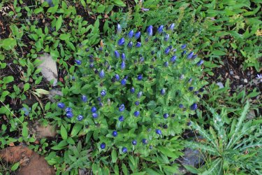 IMG_5413.jpg IMG_5413.jpg