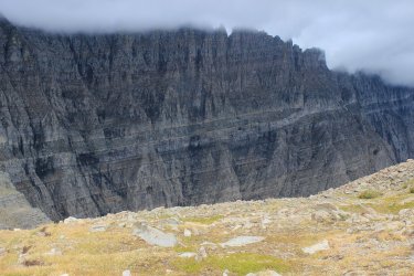 IMG_5431.jpg IMG_5431.jpg