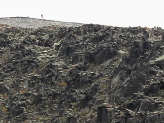 IMG_5445-2.jpg IMG_5445-2.jpg