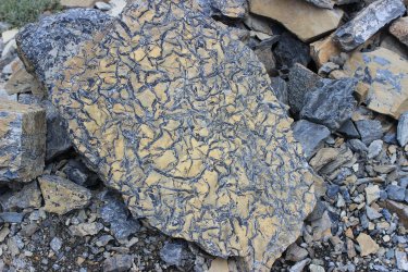 IMG_5454.jpg IMG_5454.jpg