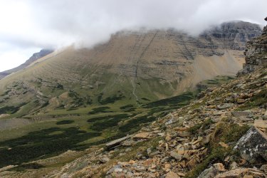 IMG_5459.jpg IMG_5459.jpg