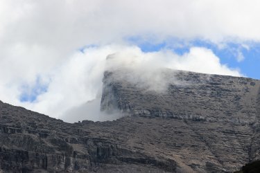 IMG_5479.jpg IMG_5479.jpg