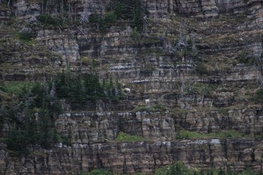 IMG_5502.jpg IMG_5502.jpg