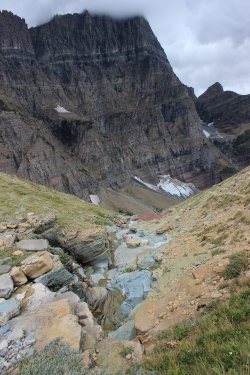 IMG_5504.jpg IMG_5504.jpg