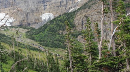 IMG_5510.jpg IMG_5510.jpg