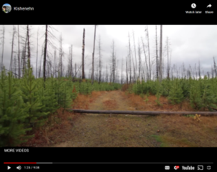 hike734.com_trip_kishenehn_ (1).png hike734.com_trip_kishenehn_ (1).png