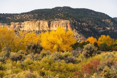 October Escalante 2024-09651.jpg