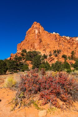 October Escalante 2024-09156.jpg