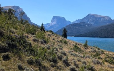 PXL_20240821_170946923_Large.jpg PXL_20240821_170946923_Large.jpg