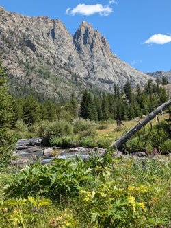 PXL_20240821_183115544_Large.jpg PXL_20240821_183115544_Large.jpg